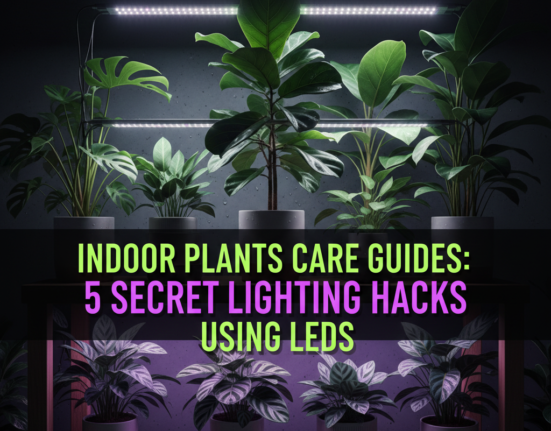 Indoor Plants Care Guides: 5 Secret Lighting Hacks Using LEDs