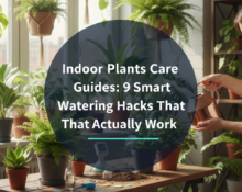 Indoor Plants Care Guides: 9 Smart Watering Hacks That Actually Work