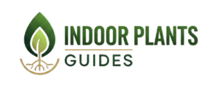Indoor Plants Guide
