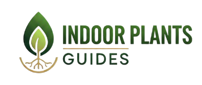 Indoor Plants Guide