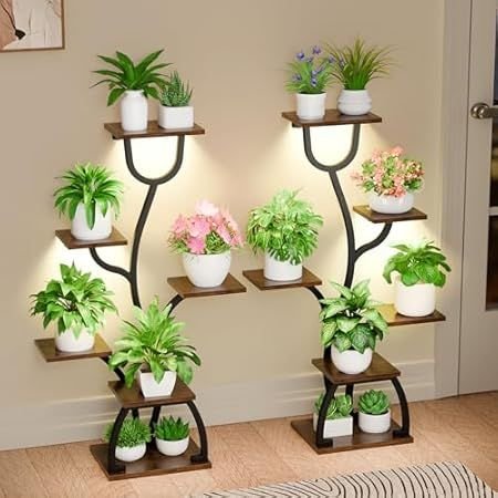 Indoor Plants Care Guides: 11 Low-Maintenance Plants for Busy People