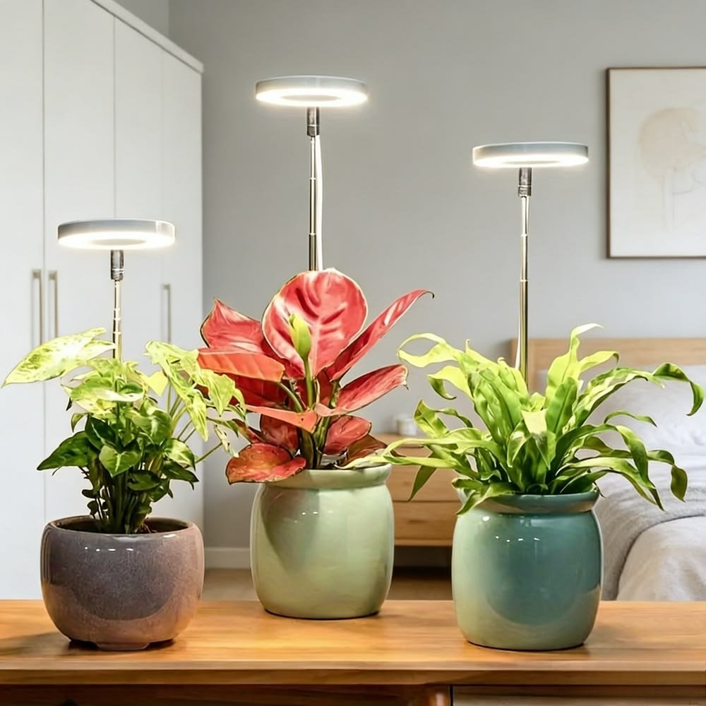 Indoor Plants Care Guides: 9 Easy Balcony Plant Placement Ideas