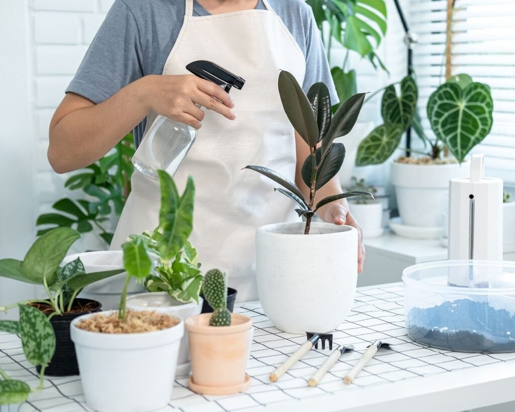 Indoor Plants Care Guides: 10 Essential Steps to Save Dying Plants