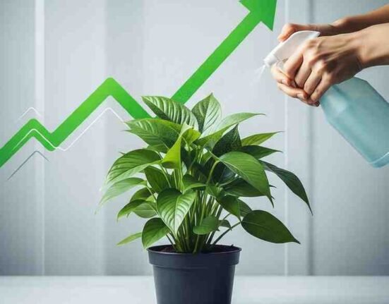 7 Ultimate Watering & Feeding Rules for Thriving Indoor Plants