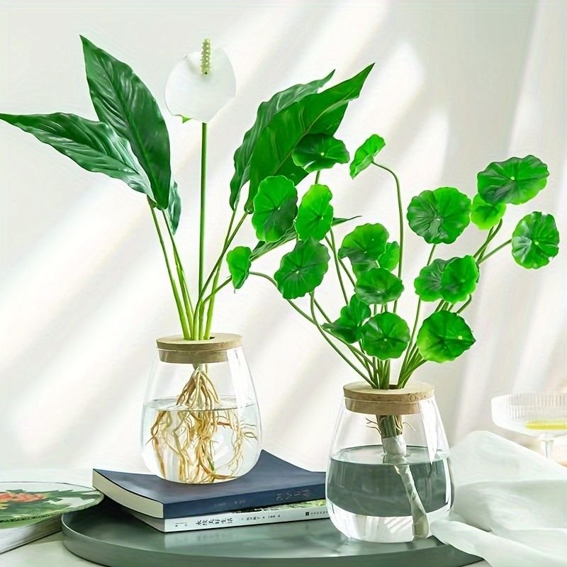 Indoor Plants Care Guides: 6 Easy Ways to Fix Yellow Leaves