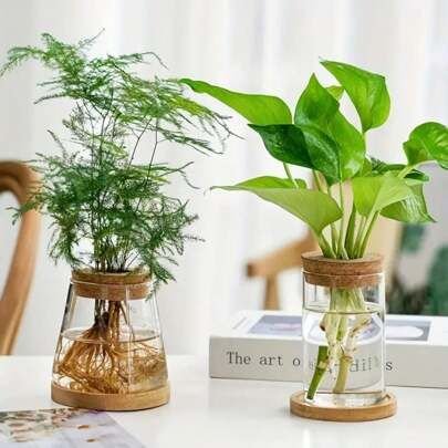 Indoor Plants Care Guides: 10 Powerful Plant Food Options That Work