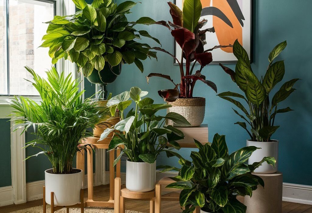 10 Indoor Plants Light Tricks That Boost Growth Fast