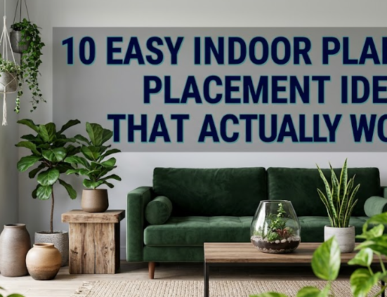10 Easy Indoor Plants Placement Ideas That Actually Work
