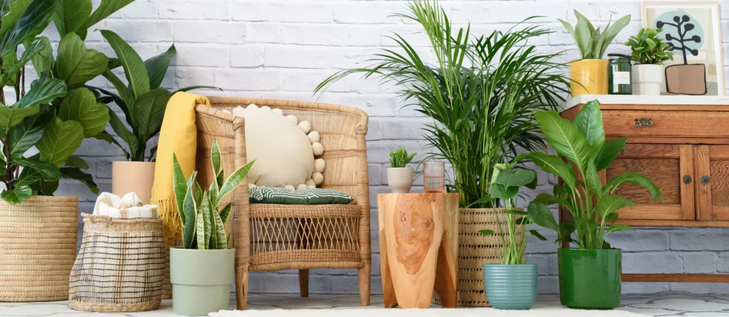 7 Indoor Plants Feeding Lessons from My Biggest Mistakes