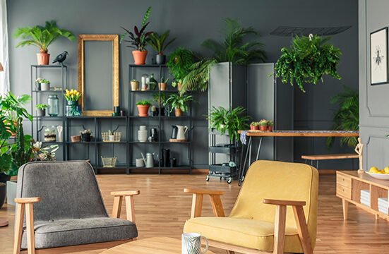 7 Fast Indoor Plants Styling Fixes for Dull Spaces