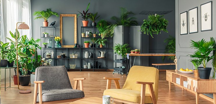 7 Fast Indoor Plants Styling Fixes for Dull Spaces