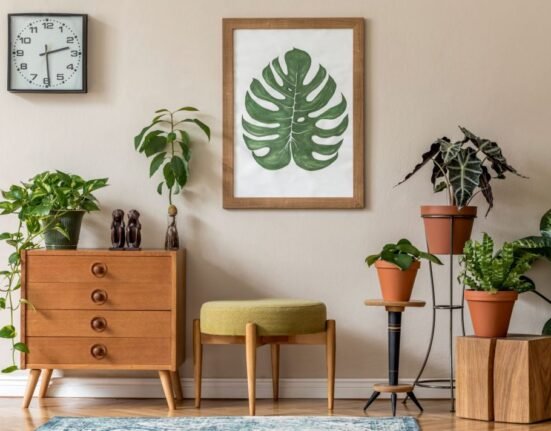 11 Essential Indoor Plants Decor Tips for Beginners