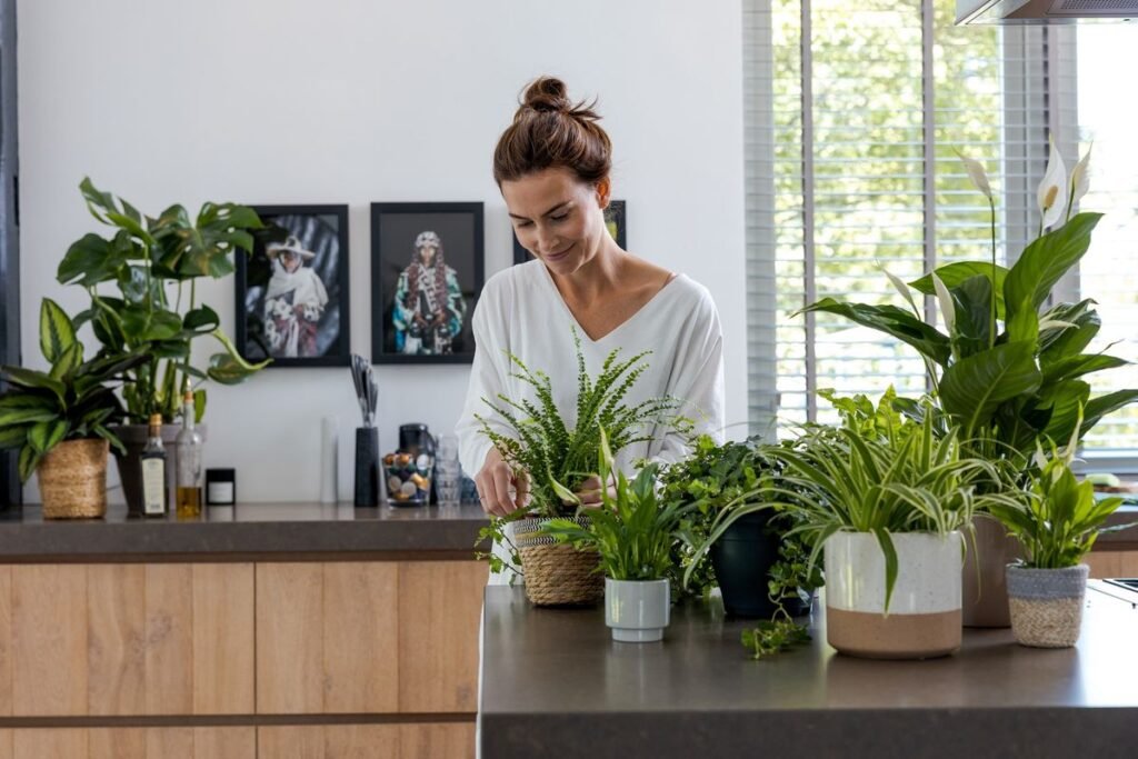 11 Ultimate Indoor Plants Pest Control Tricks for Healthy Growth