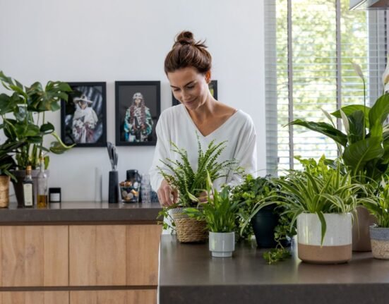 5 Indoor Plants Problem Fixes That Revived My Dying Plants